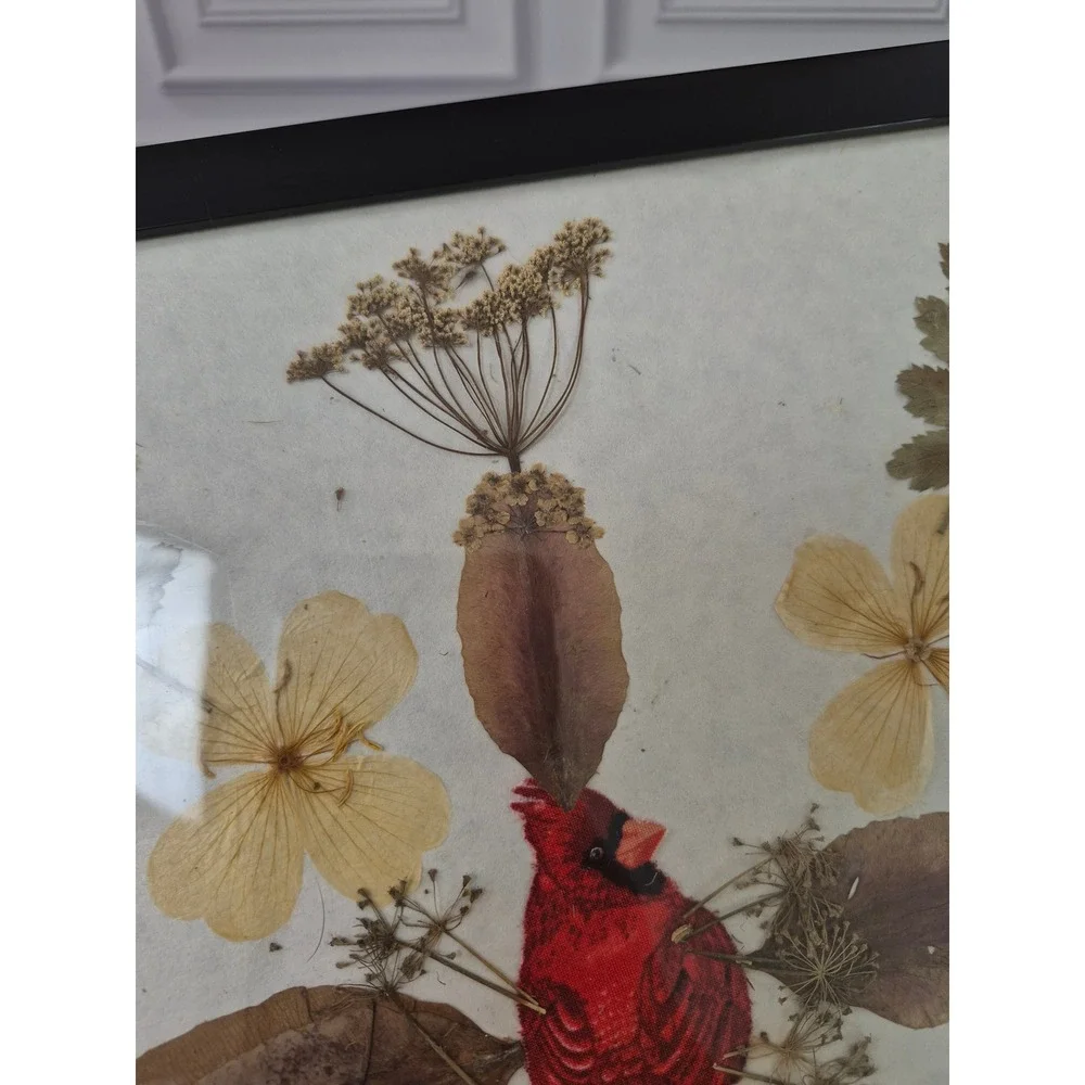 Pressed Flower Botanical Art Framed Red Cardinal Bird Wall Decor 12.5x12.5
